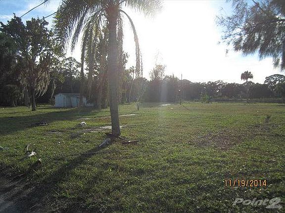 Nice Palms