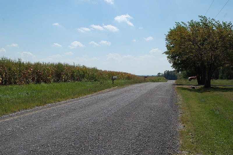 Road leading to home