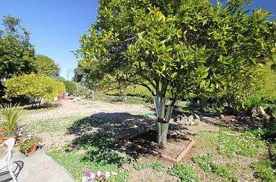 3rd image of 16361 Sarape Dr