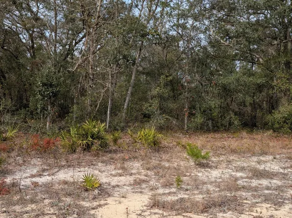 0 DAVID Avenue, Interlachen, FL 32148