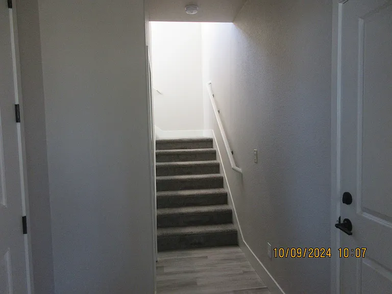 318 Cattail Cir — Photo 5