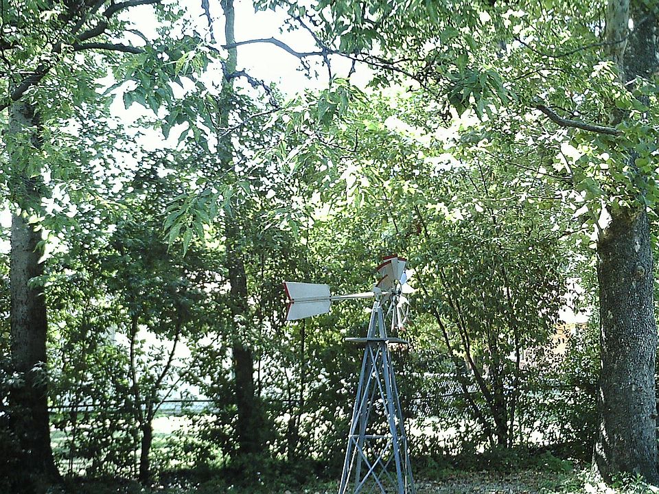 back yard