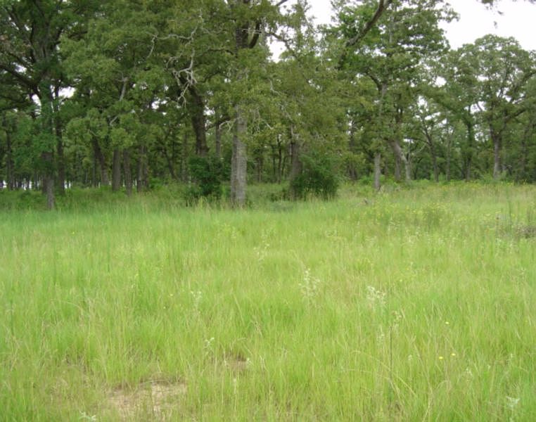 2nd image of PR 3500 Lot 5569
