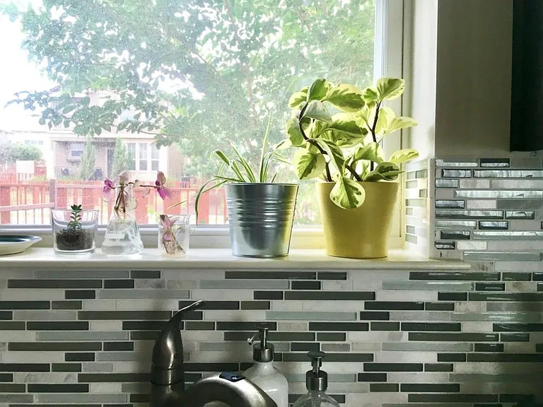 1812 Carlson Dr #39C — Photo 6