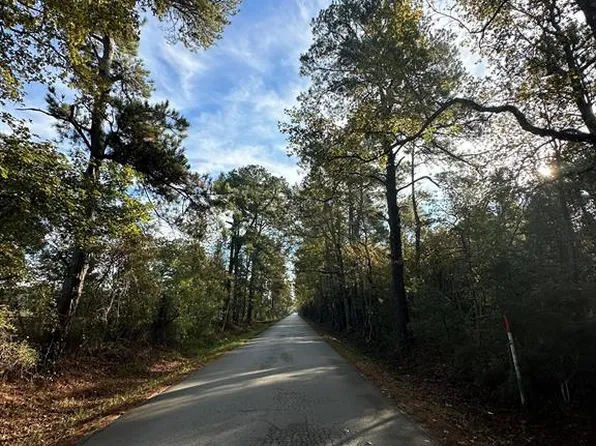 TBD County Road 301, Dayton, TX 77535