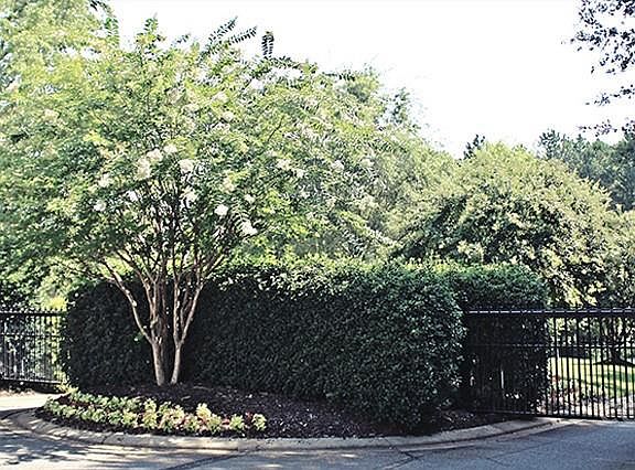 2nd image of 5211 Peninsula Dr Lot 46