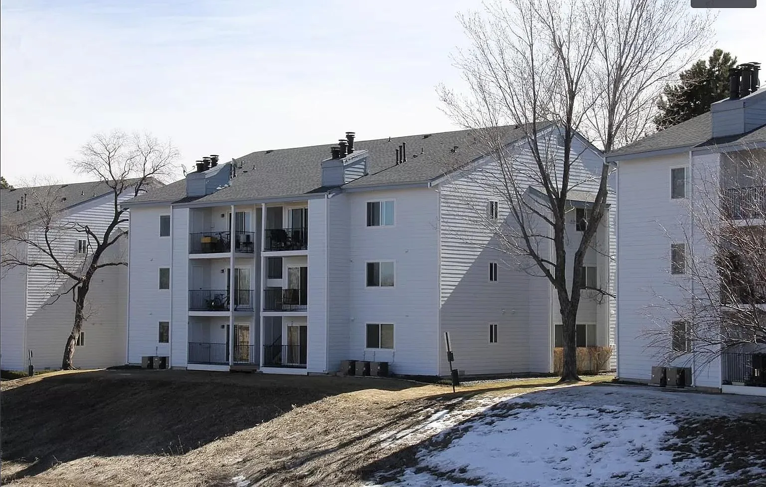 2 bed, 1055 sqft, $1,700 — Photo 1