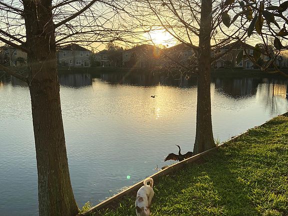 Lake front views