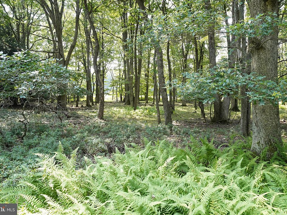 2nd image of 123 & 124 Broad Mountain View Dr