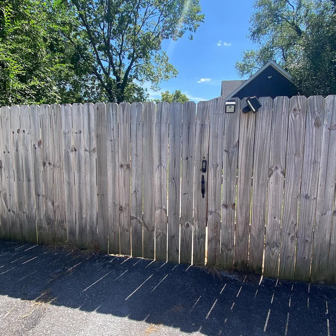 3 bed, 1500 sqft, $2,295 — Photo 4