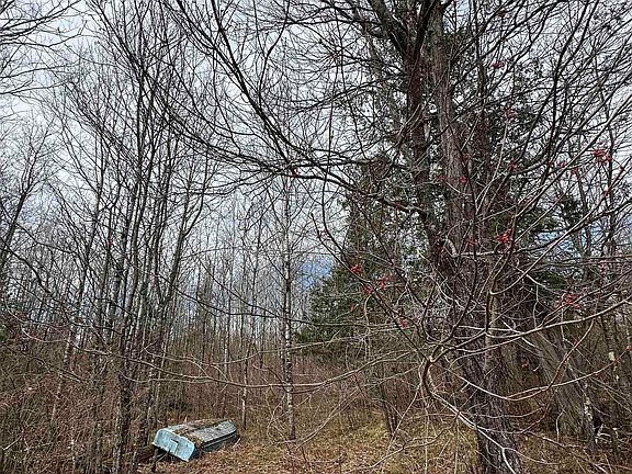 4th image of Tbd Net River Rd