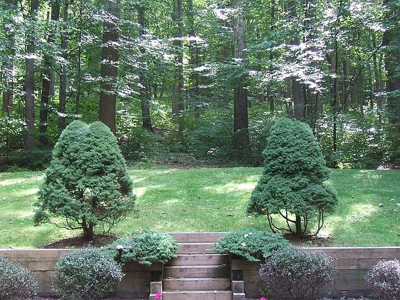 Backyard Park Setting