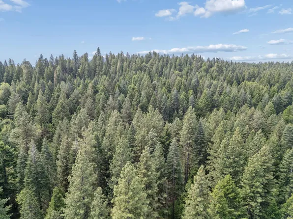 3398 Crocker Ranch Rd, Camino, CA 95709