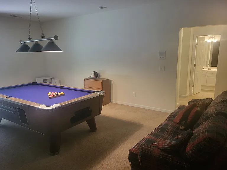 Game room and downstairs bathroom