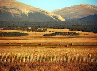 Buyer Ct, Fairplay, CO 80440