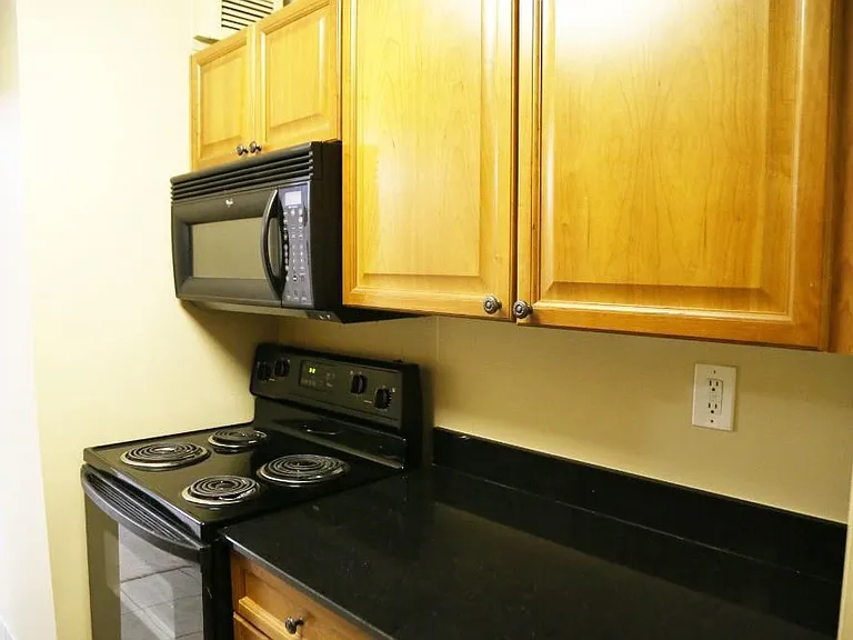 1001 W Jefferson Ave #300/16F — Photo 12