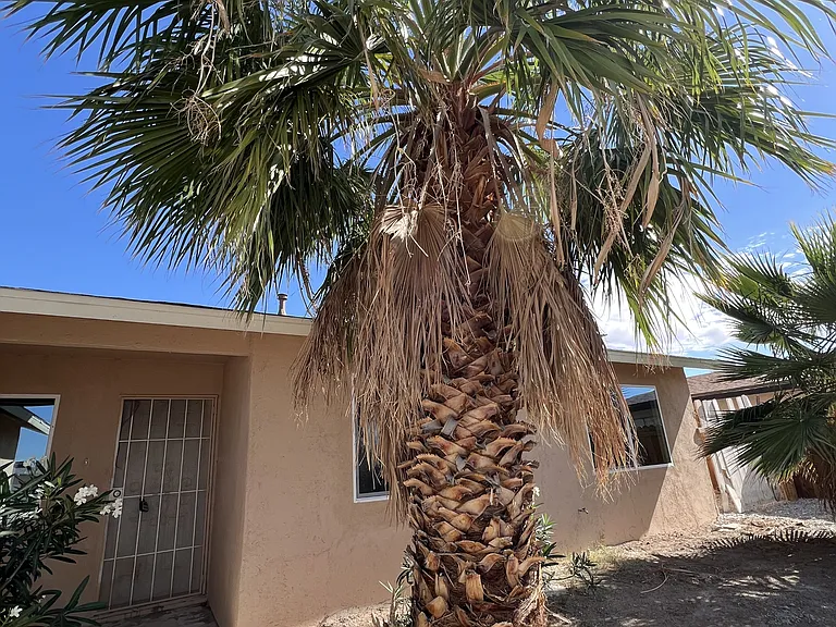 3608 W Bonanza Rd — Photo 9