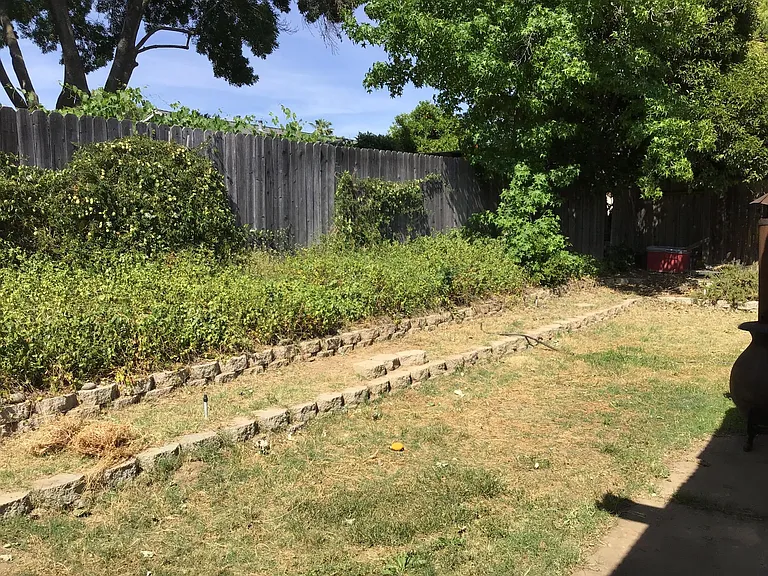 1217 Bunker Hill Dr — Photo 10