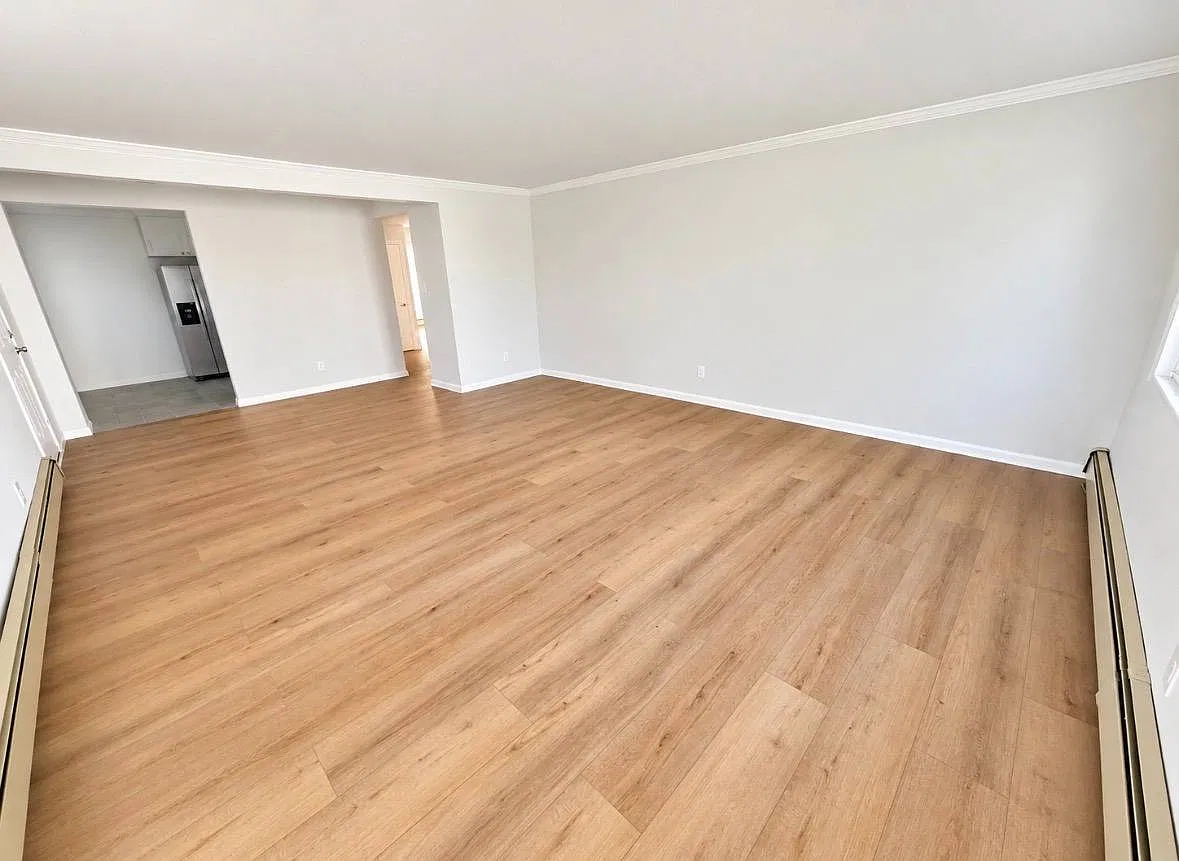 2 bed, 1.0 bath, $3,800 — Photo 3