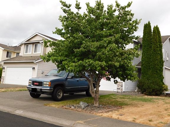 5th image of 10912 185th Ave E