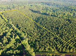 1 County Road 1512, Avinger, TX 75630