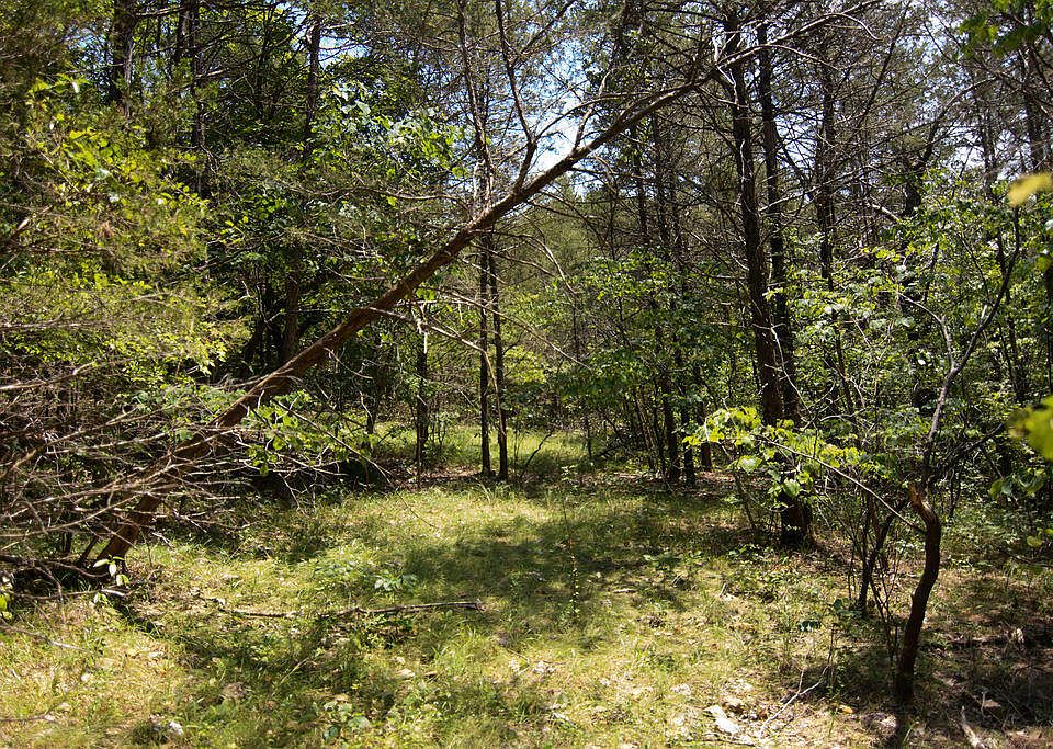 1st image of Tbd Paw Paw Lane