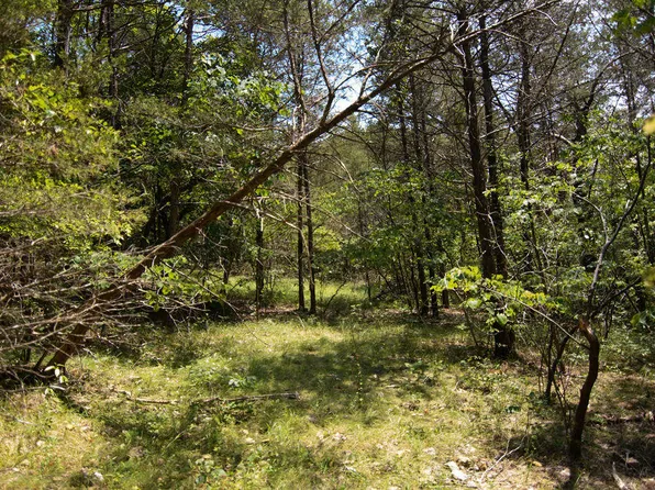 Tbd Paw Paw Lane, Rockaway Beach, MO 65740