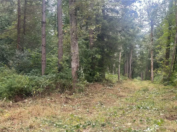 9586 Sunrise Road, Blaine, WA 98230