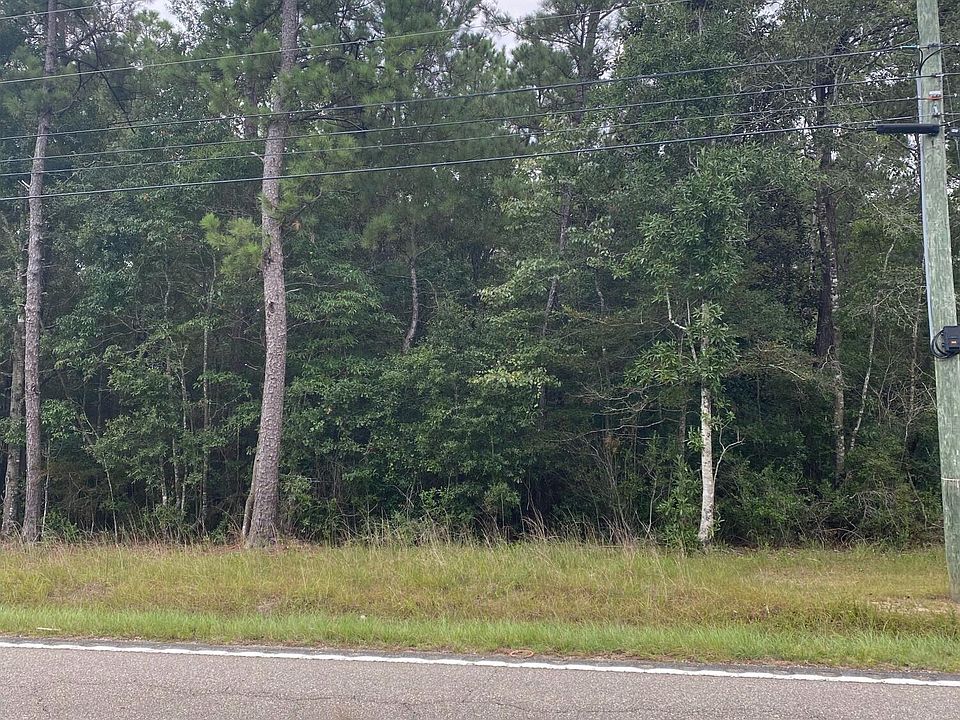 2nd image of Wolf River Rd