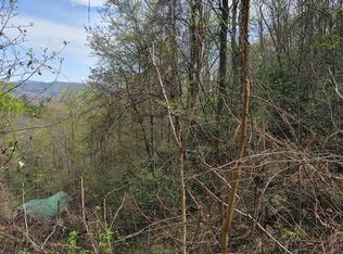 713 Costner Rd LOT 0, Del Rio, TN 37727