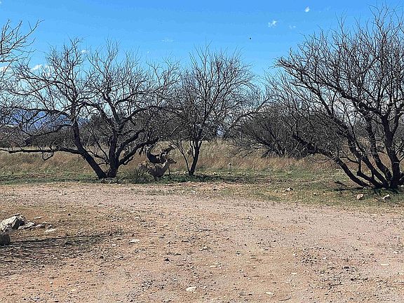4th image of 18 Granite Peak Rd