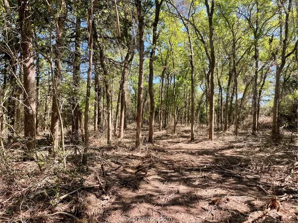 Country Pl, Normangee, TX 77871