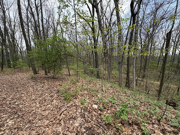 3rd image of 5241 Moscow Rd