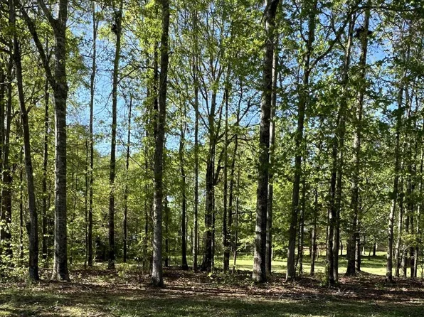 0 Fawn Dr, Clanton, AL 35045