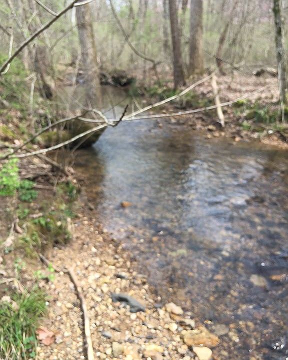 Creek