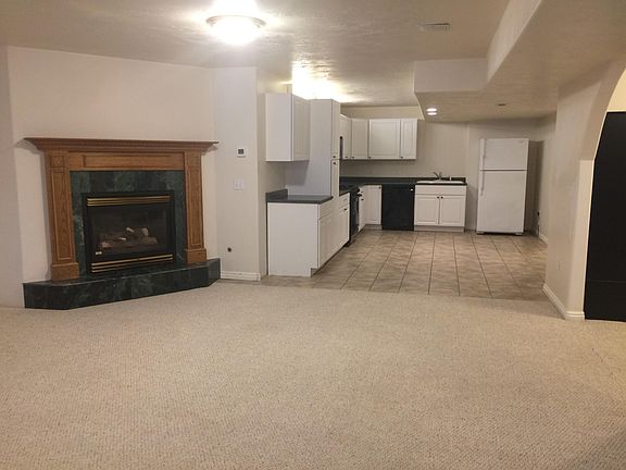 Family/kitchen gas insert