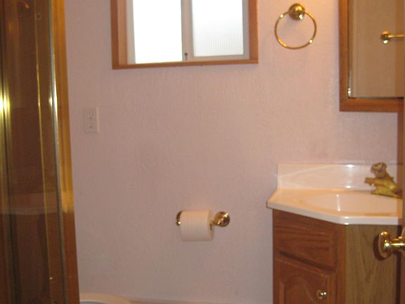 Bathroom with shower on left