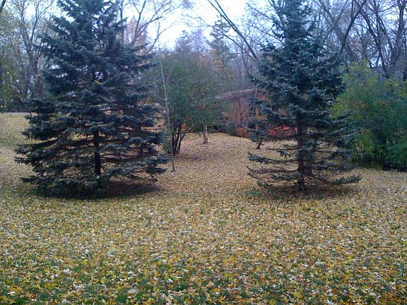 View from living room window.