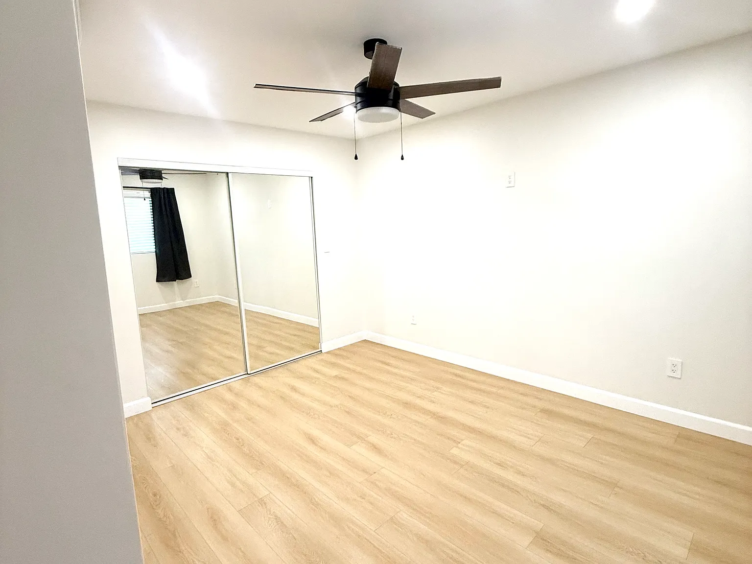 3474 Lily Ct — Photo 4