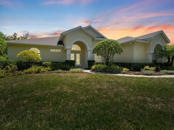 19117 Centre Rose Blvd, Lutz, FL 33558