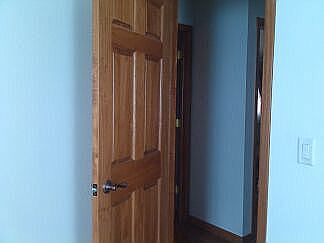 New doors & Wood
