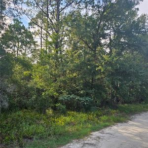 4532 N Mitchum Point #25, Crystal River, FL, 34428