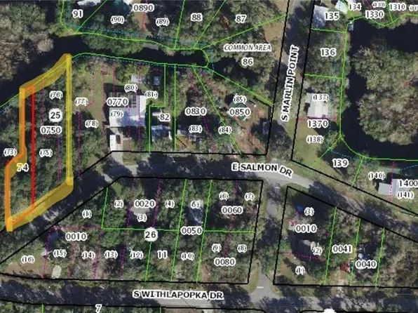 11117 & 11135 E Salmon Dr, Floral City, FL 34436
