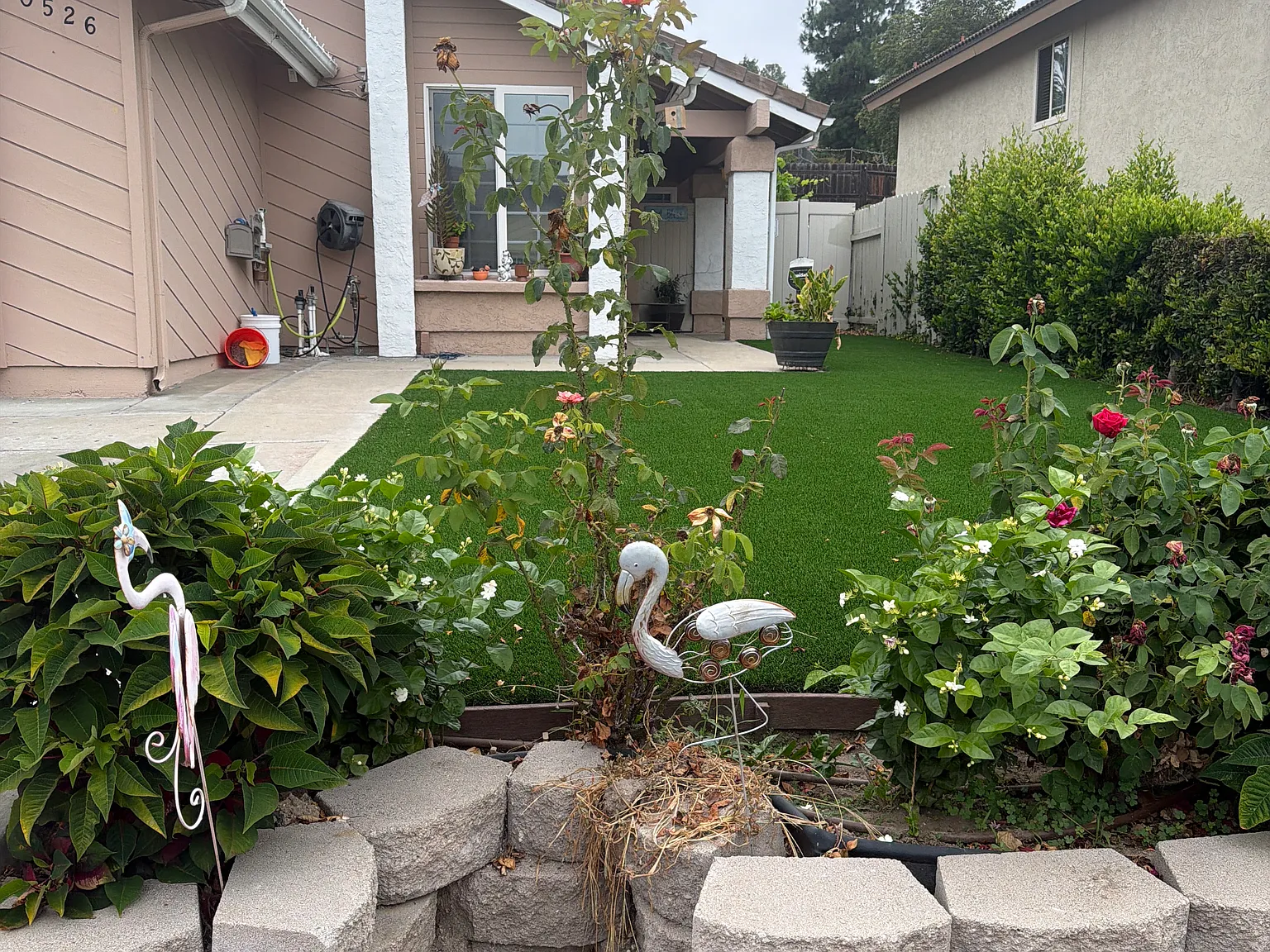 4 bed, 1638 sqft, $5,500 — Photo 3