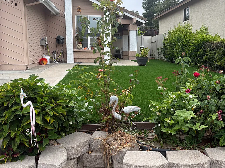 10526 Pine Grove St — Photo 3