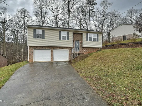 227 Valley Crest Dr, Mt Carmel, TN 37645