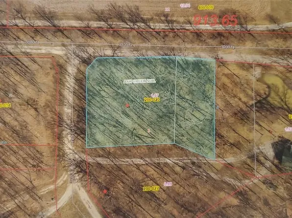 9 Wood Duck Dr, Ramsey, IL 62080