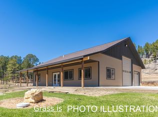 25299 Hard Scratch Ln, Custer, SD 57730