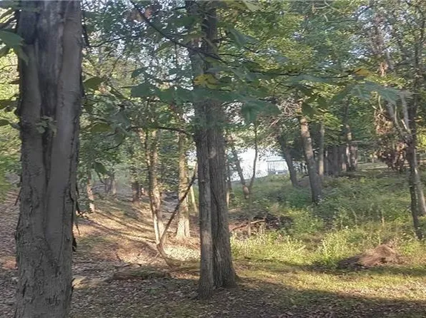 17 S Fascination Cir, Linn Valley, KS 66040