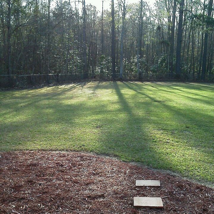 View from back door steps...
